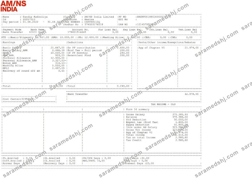 AM NS India Paystub